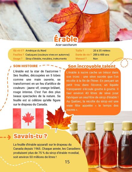 Une page du cahier : Arbres, l’érable