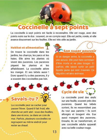 Une page du cahier : Insectes, la coccinelle