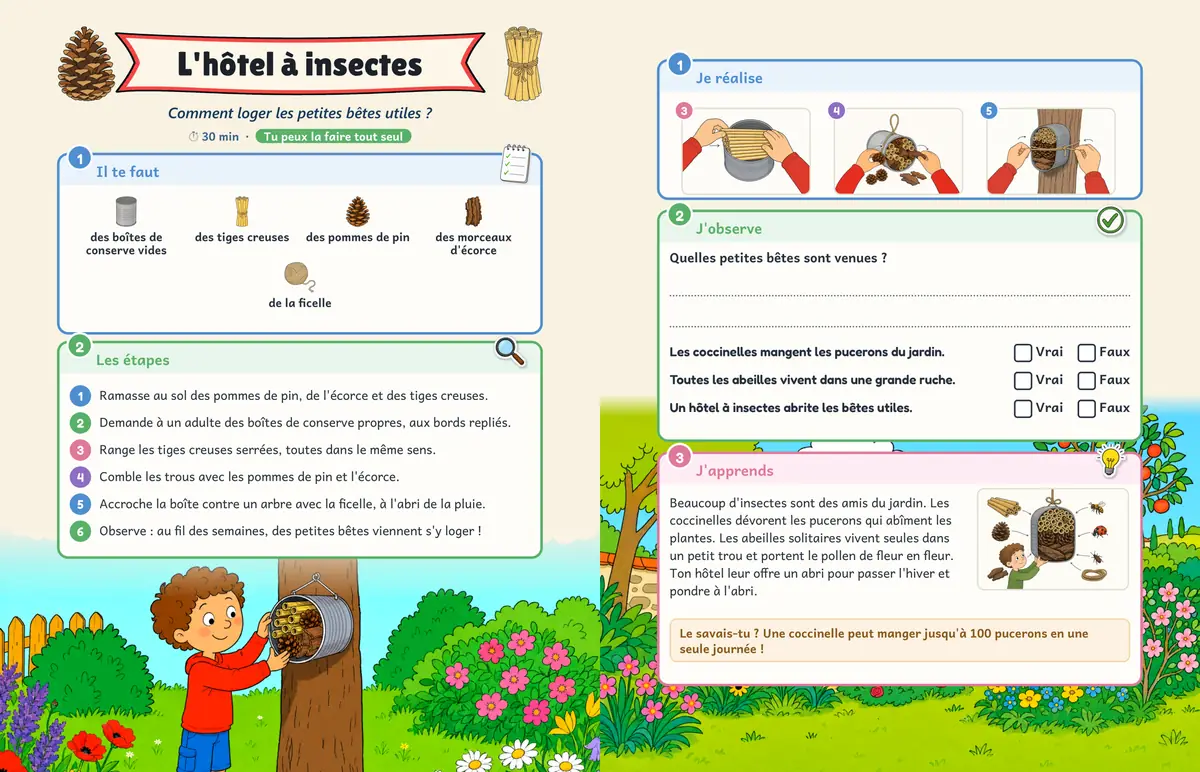 Double page L'hôtel à insectes : matériel, étapes et carnet d'observation