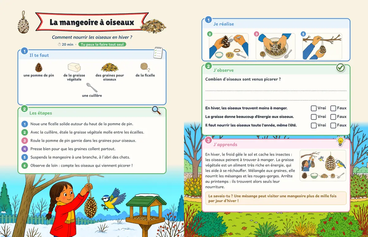 Double page La mangeoire à oiseaux : nourrir les oiseaux en hiver et compter les visiteurs