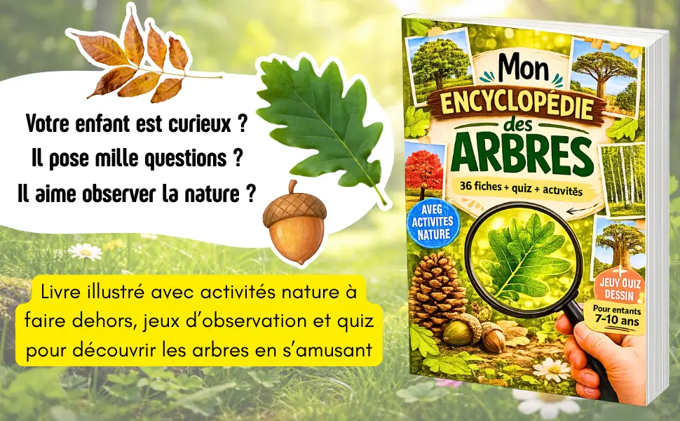 Encyclopédie arbres — présentation des chapitres