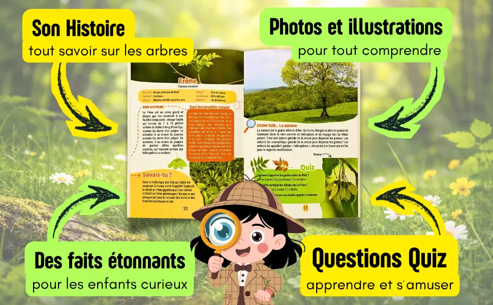 Encyclopédie arbres — fiches détaillées par arbre