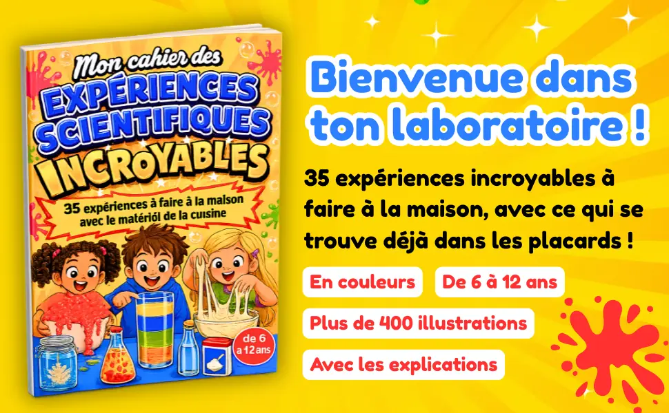 Cahier d'expériences scientifiques pour enfants de 6 à 12 ans : en couleurs, plus de 400 illustrations, avec les explications