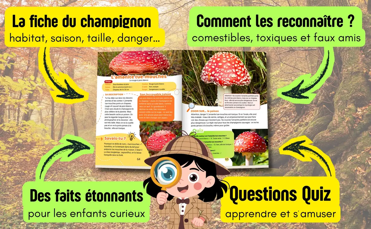 Ce que contient chaque fiche : la carte d'identité du champignon, comment le reconnaître, des faits étonnants et un quiz