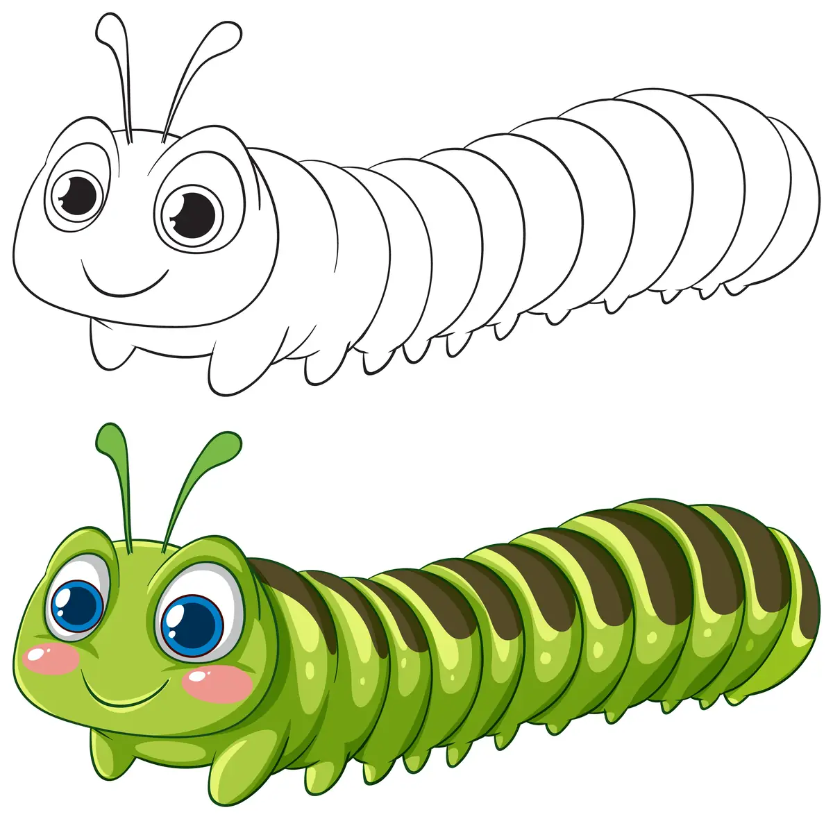 Chenille a colorier et modele colore inspire Eric Carle pour maternelle a imprimer