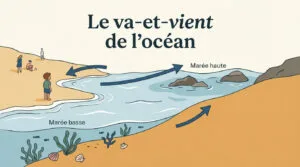 Pourquoi il y a des marées : explication pour enfants