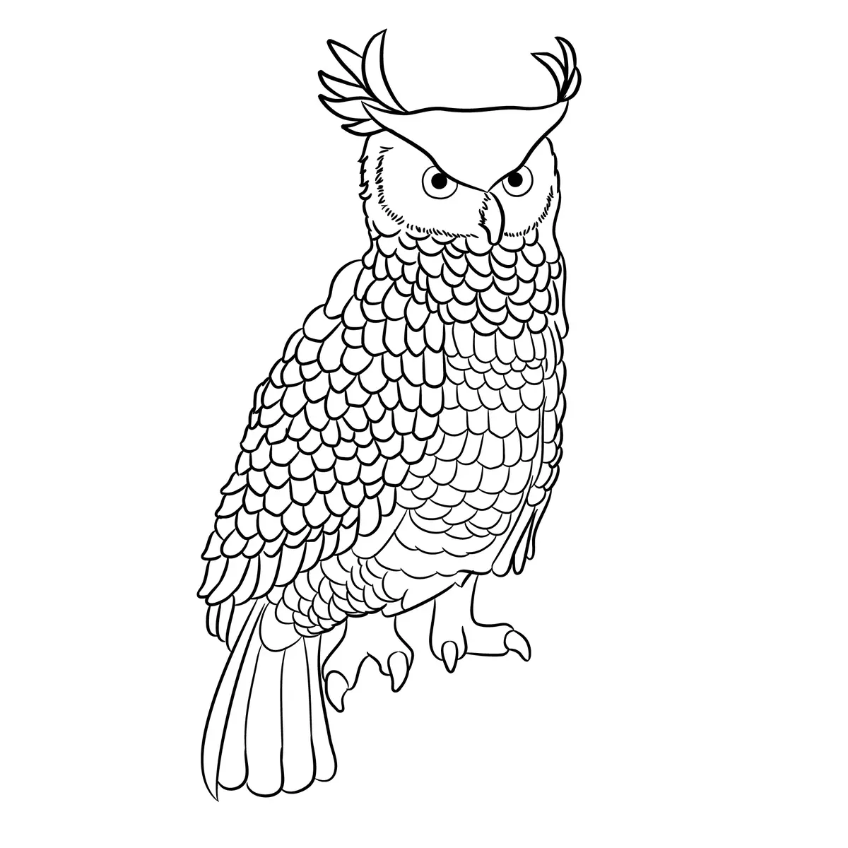 Coloriage grand-duc plumes ecailles aigrettes detaillees a imprimer