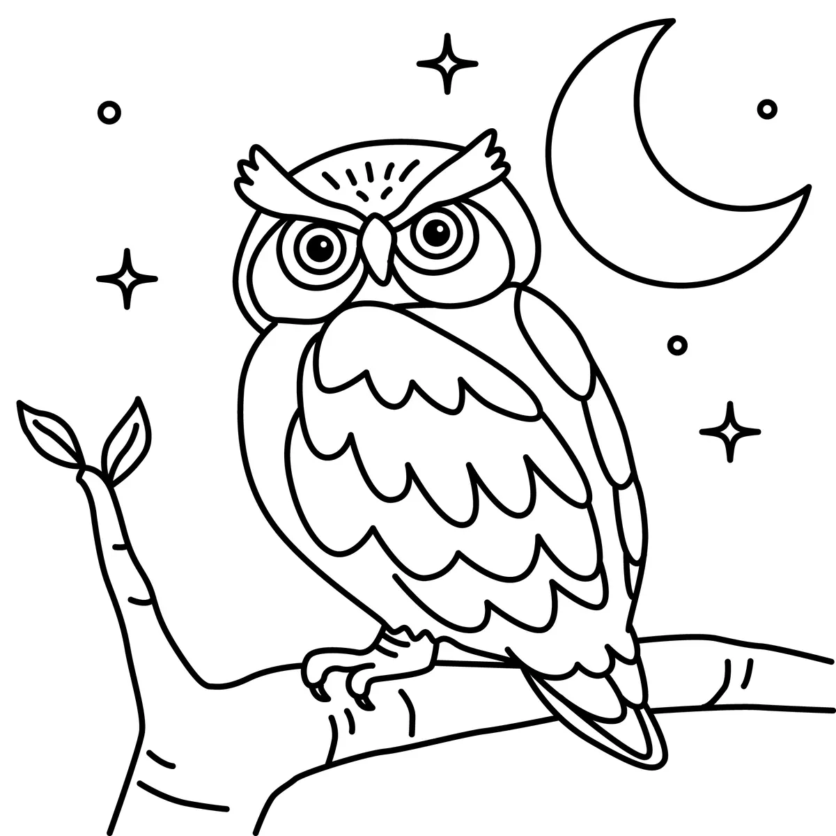 Coloriage hibou cartoon perche sur branche au clair de lune et etoiles a imprimer