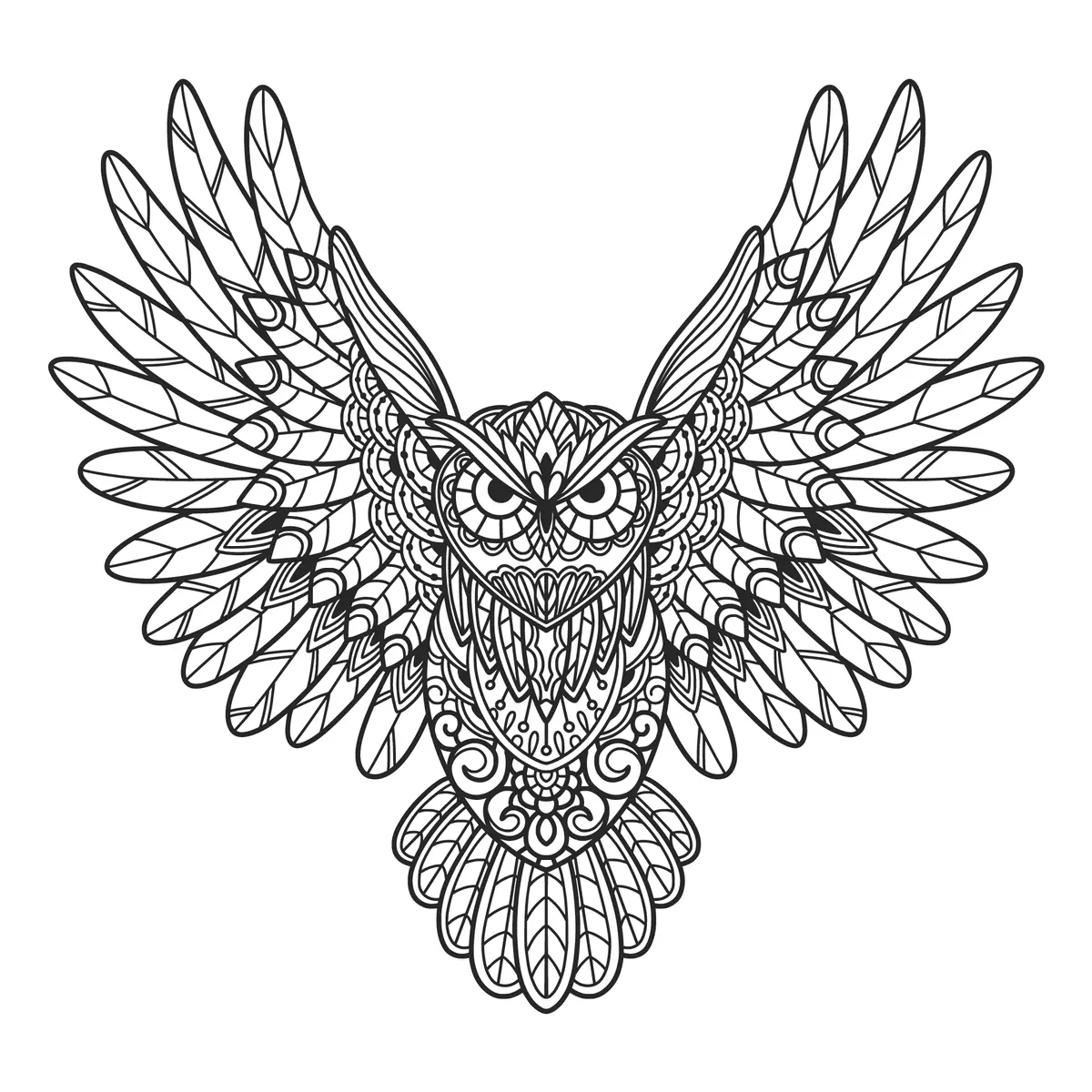 Coloriage hibou mandala ailes ouvertes plumes detaillees a imprimer