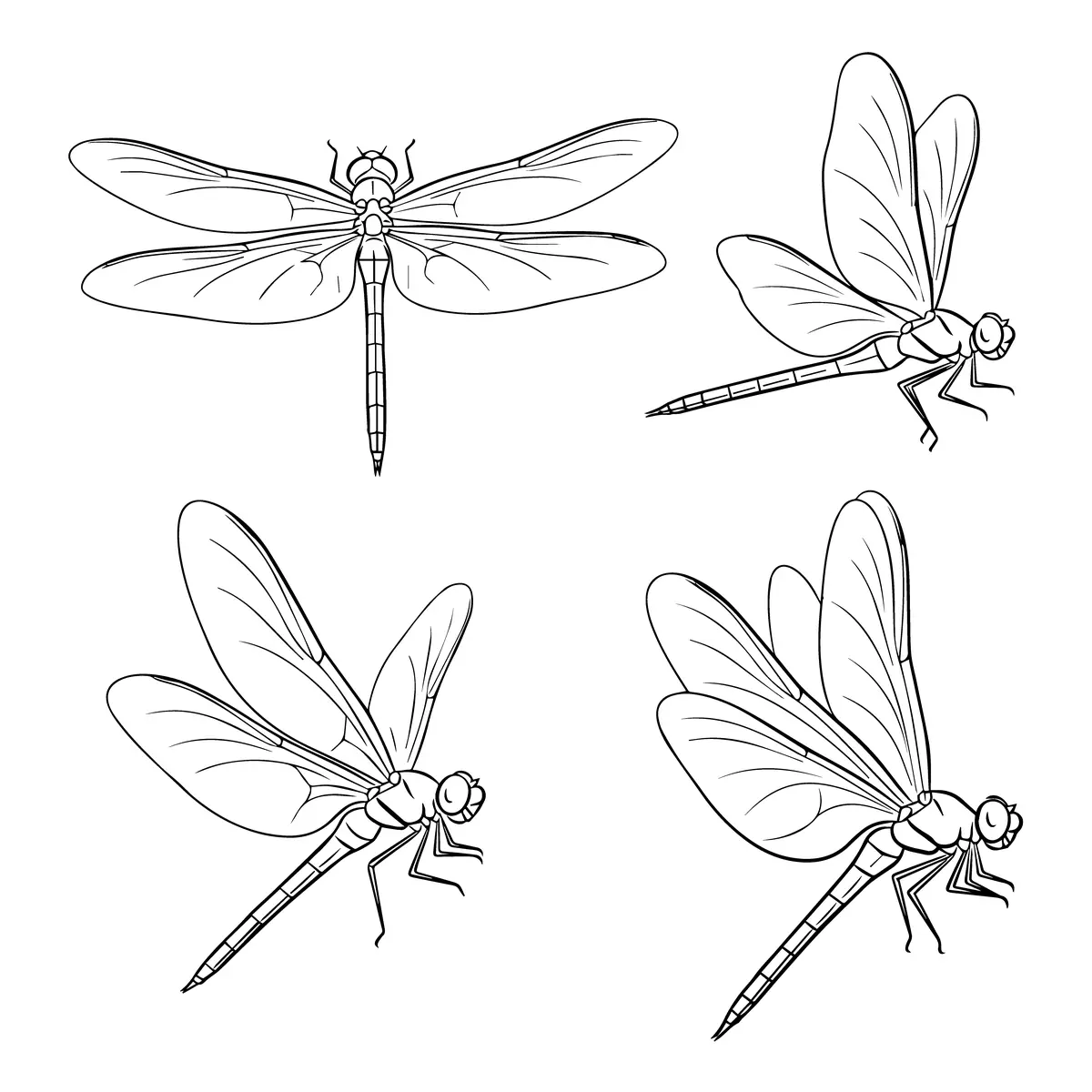 Coloriage planche de quatre libellules dans differentes positions a imprimer
