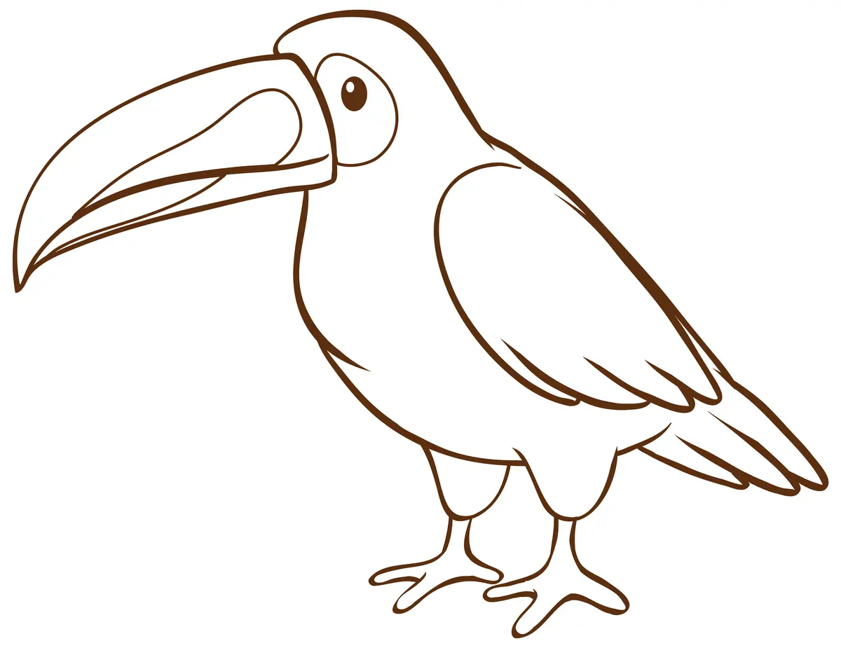 Coloriage toucan au grand bec coloré style cartoon à imprimer