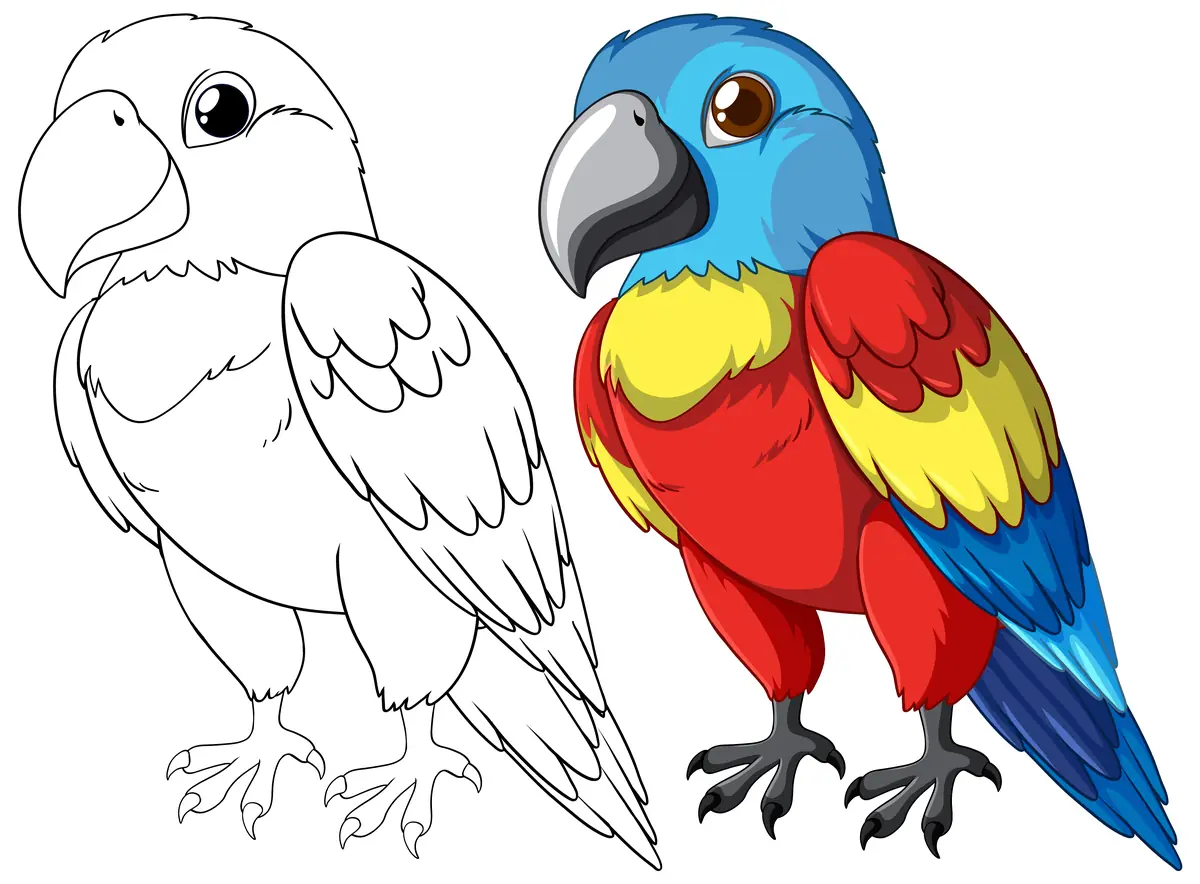 Coloriage perroquet bleu et rouge avec modèle couleur à imprimer