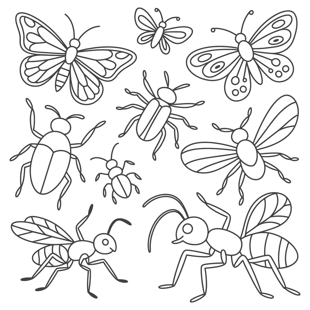 Coloriage planche line art papillons scarabees et fourmis ailees a imprimer