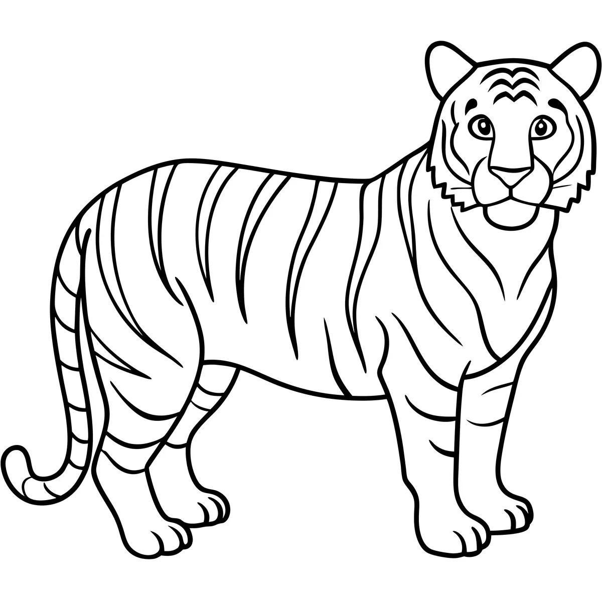 Coloriage tigre adulte réaliste qui avance vers le spectateur à imprimer