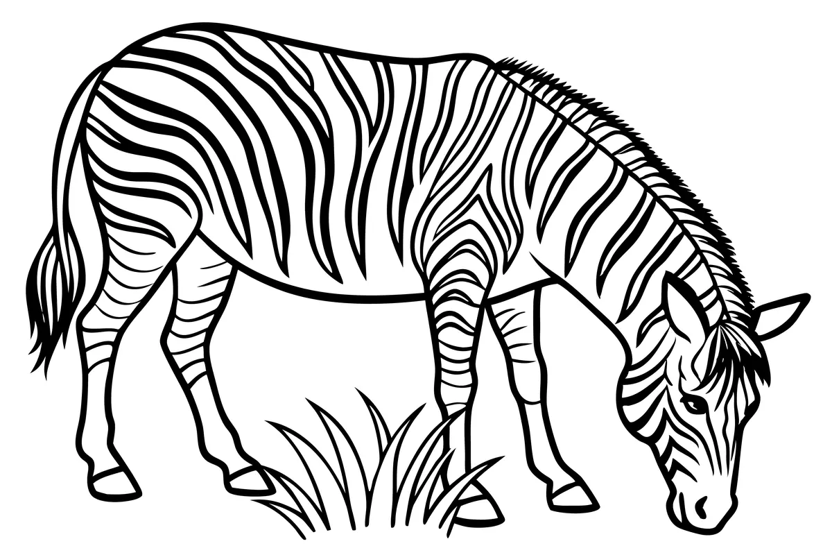 Coloriage zebre adulte broute touffe d'herbe a imprimer