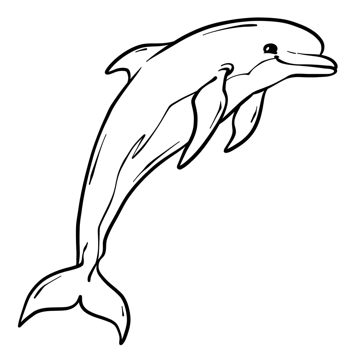 Coloriage dauphin simple saut minimaliste