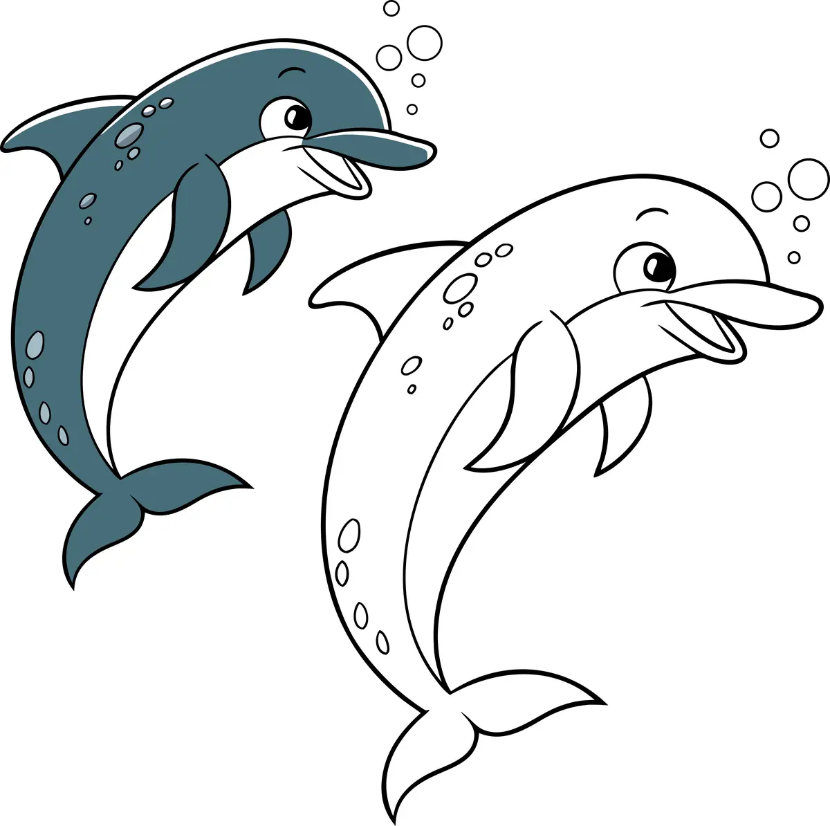 Coloriage deux dauphins avec modele couleur