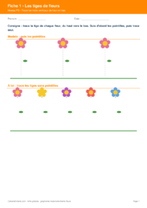 Aperçu fiche 1 - traits verticaux tiges de fleurs PS