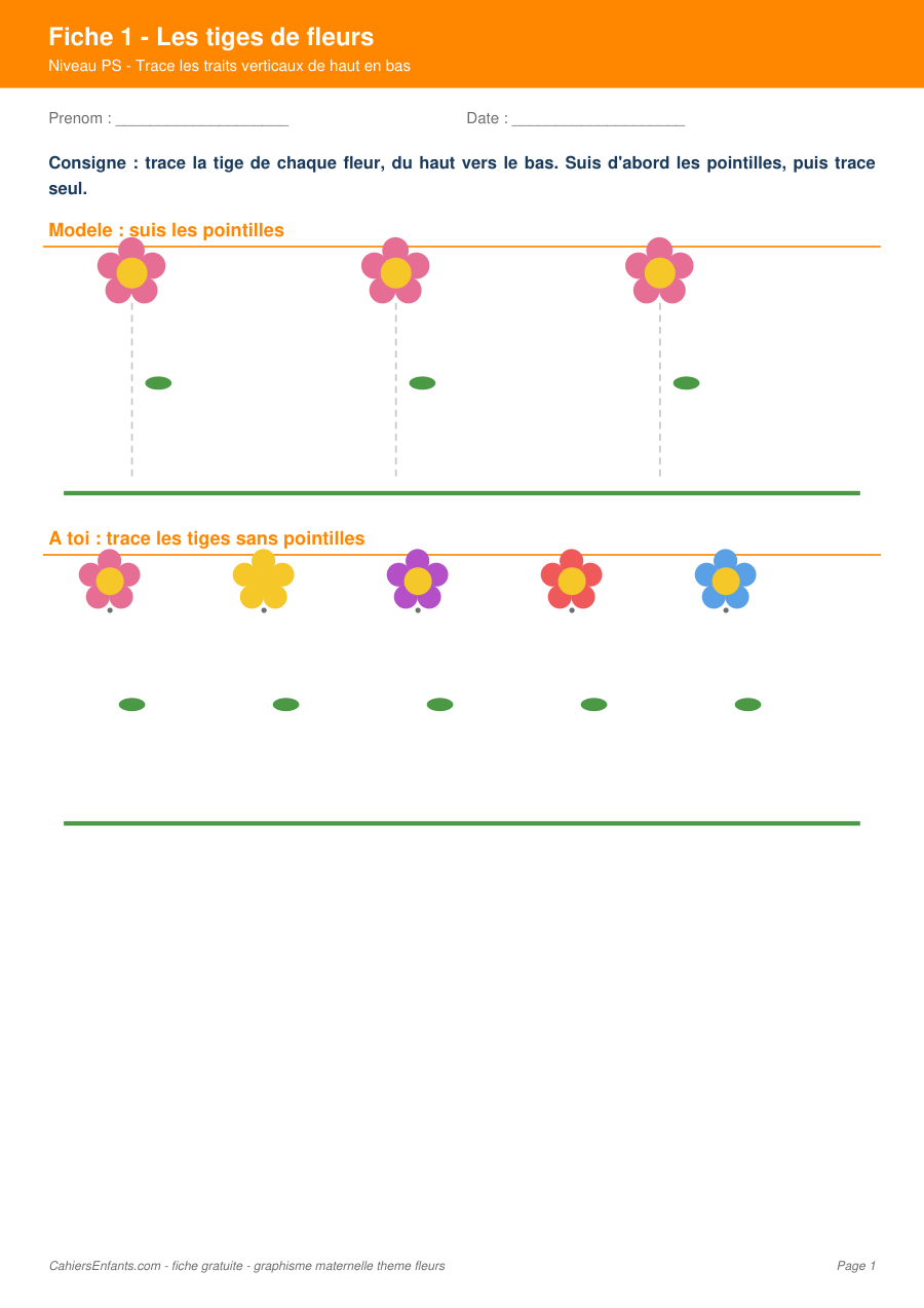 Aperçu fiche 1 - traits verticaux tiges de fleurs PS