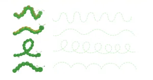 Fiche de graphisme moyenne section avec chenilles vertes et 4 tracés ondulés pointillés à imprimer