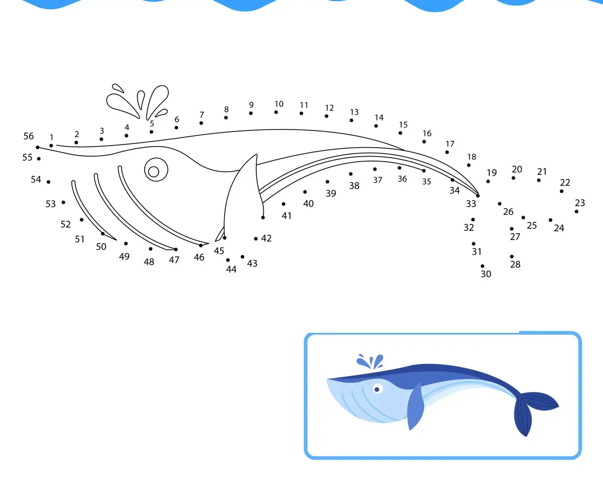 Points à relier baleine à bosse à imprimer