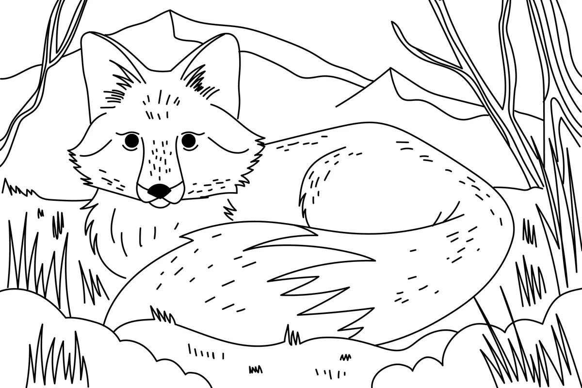 Coloriage renard couché dans l'herbe à imprimer