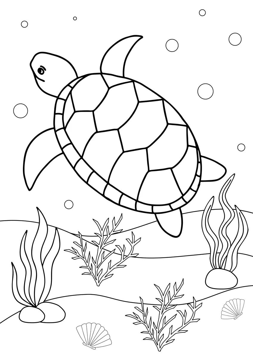 Coloriage tortue de mer vue du dessus a imprimer