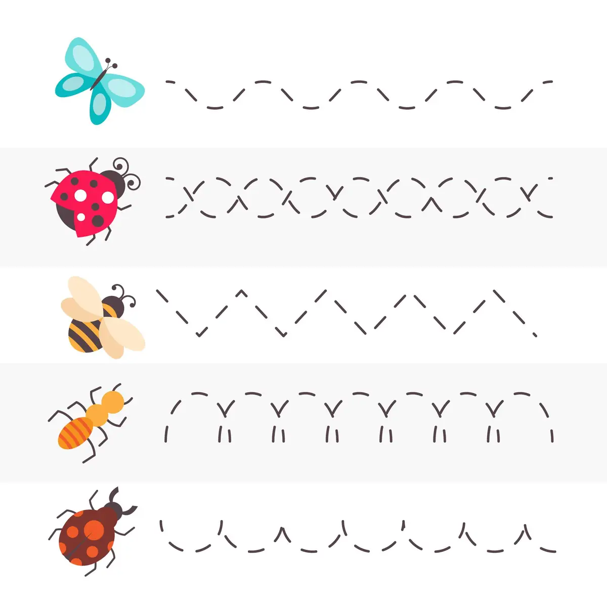 fiche graphisme insectes et traces de base a imprimer
