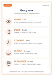 Les 5 sens en maternelle : activités et fiches à imprimer