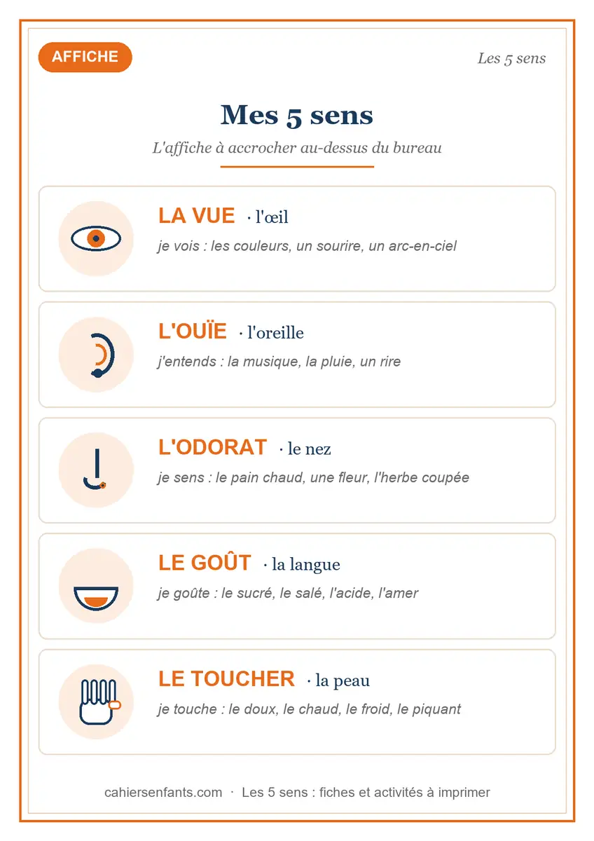 Affiche des 5 sens à imprimer pour la maternelle, organes et exemples
