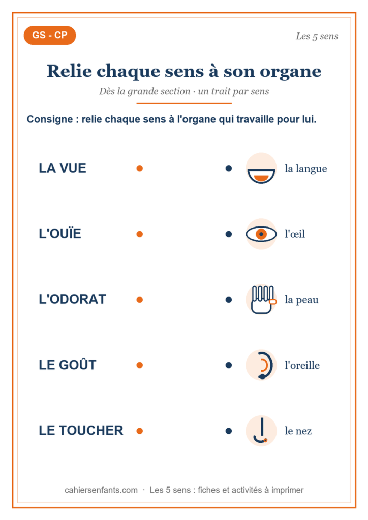 Exercice relier chaque sens à son organe, fiche GS CP à imprimer