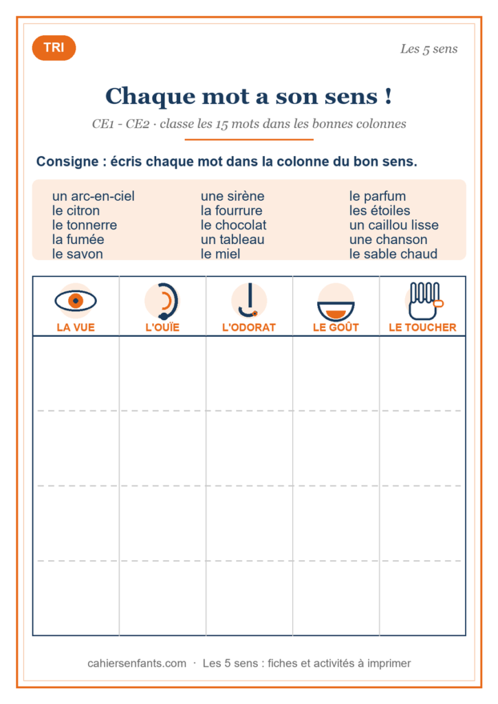 Fiche de tri des mots par sens, exercice CE1 CE2 à imprimer