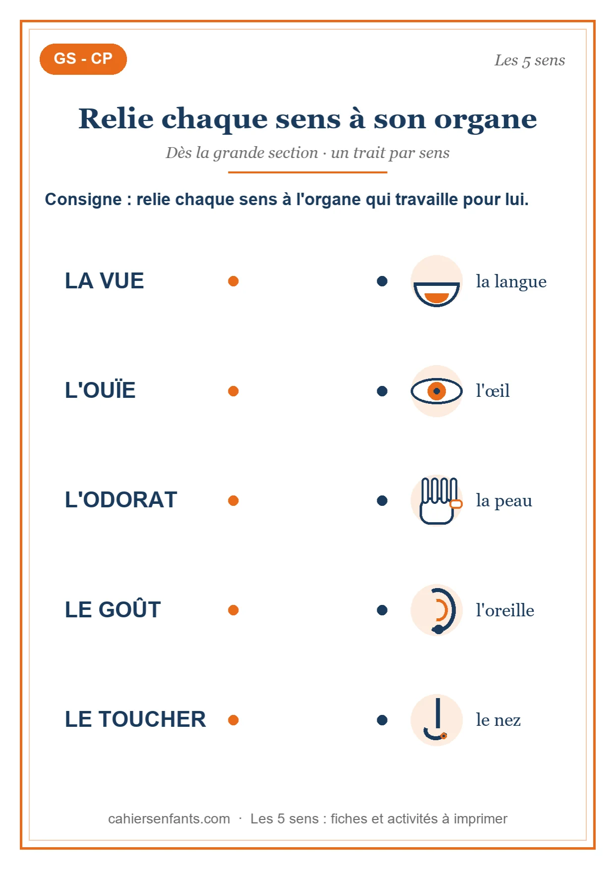 Relier chaque sens à son organe, exercice GS et CP sur les 5 sens à imprimer