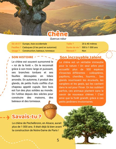 Une page de Mon Encyclopédie des Arbres : la fiche du chêne, sa carte d'identité, son histoire et son incroyable talent