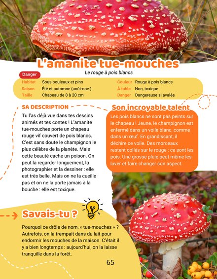 Une page de Mon Encyclopédie des Champignons : la fiche de l'amanite tue-mouches, marquée de la pastille Danger